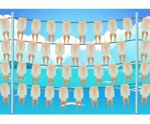 오징어 덕장 배경