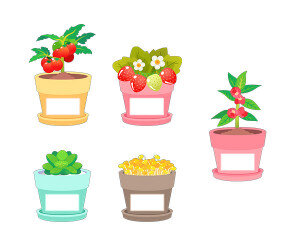 텃밭 작물 화분 이름표(딸기,다육이,방울토마토,콩나물,봉선화)