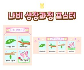 나비 성장과정 포스터