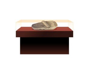 박물관 전시대(갈판, 갈돌)