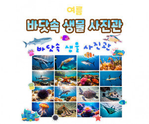 바닷속 생물 사진관