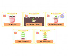 꽃 성장과정 순서도