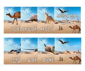 사막에 살고 있어요 카드
