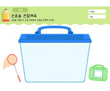 곤충을 관찰해요