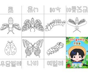 내가 좋아하는 곤충 사전