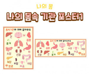 나의 몸속 기관 포스터