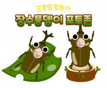 장수풍뎅이 포토존