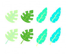 열대잎 모음