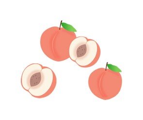 복숭아