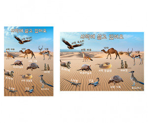 사막에 살고 있어요