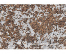 나뭇잎에 눈 내린 배경