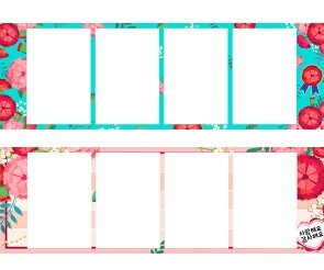 카네이션 네컷(가로)