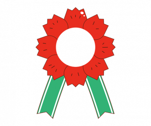 카네이션 합성이미지