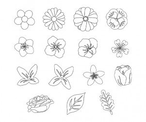 꽃 색칠 모음